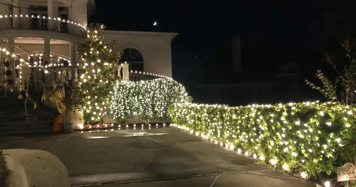 Warm white holiday lights wrapping hedges, shrubs and porch railing of a Memphis home at night