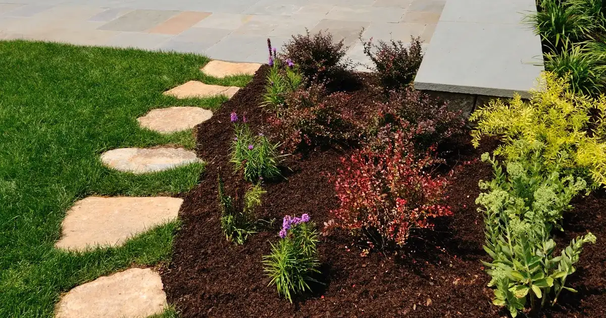 Mulched landscape bed with barberry shrubs beside flagstone stepping stones and lawn in Bartlett