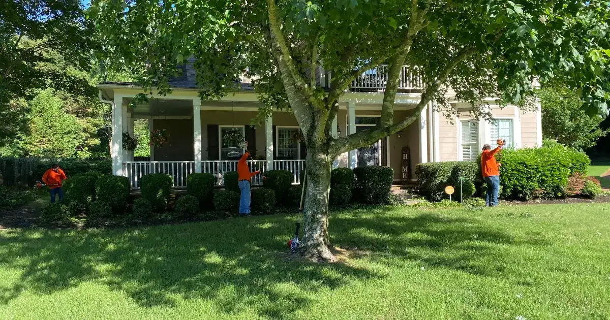 Landscaping crew in orange shirts trimming shrubs at a Memphis home