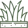 Weed Control Services | Roper Lawn & Landscape