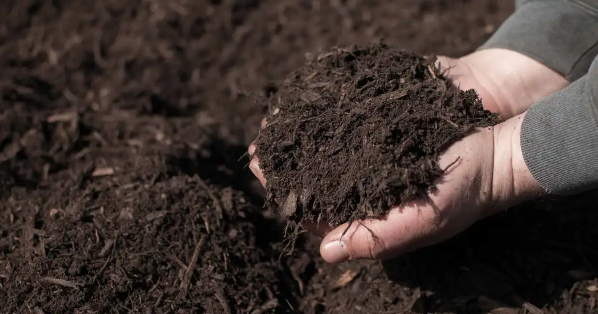 Mulch Installation For Memphis, TN & Surrounding Areas