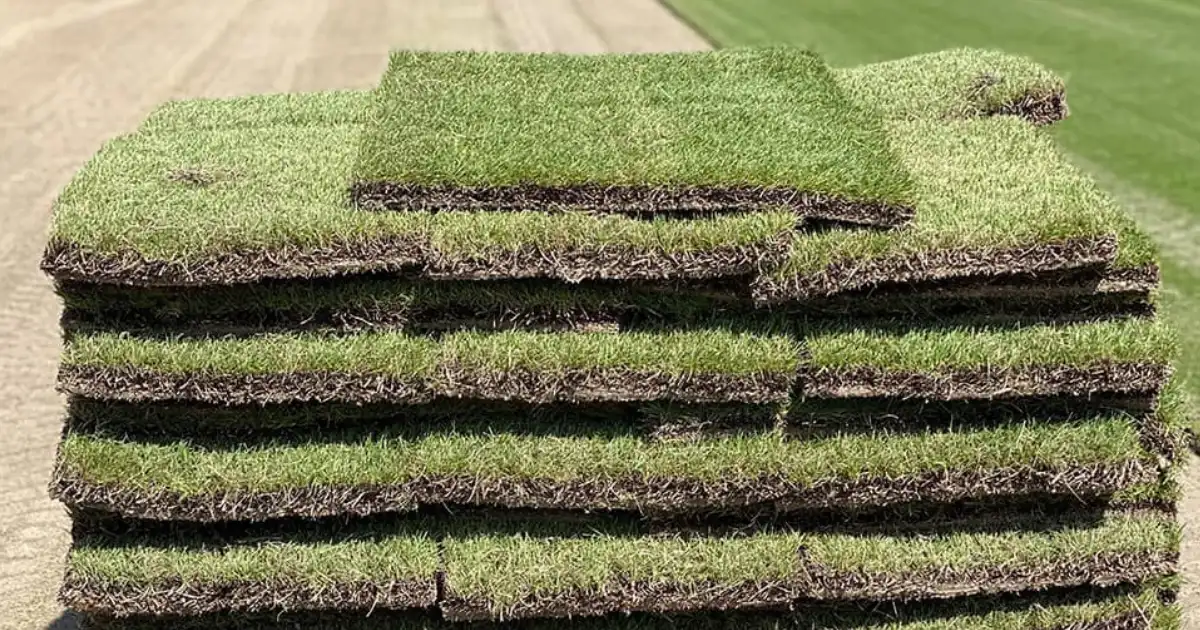 Sod Installation In Memphis, TN