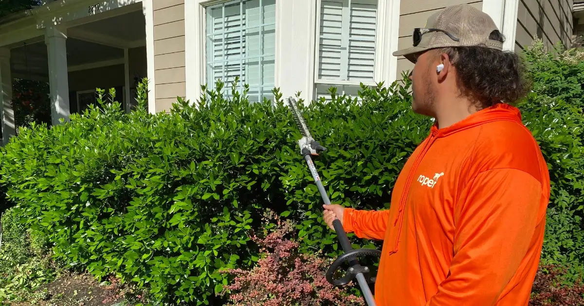 Bush Trimming | Roper Lawn & Landscape