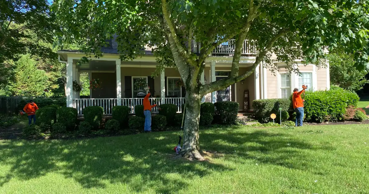 Bush Trimming In Memphis, TN | Roper Lawn & Landscape