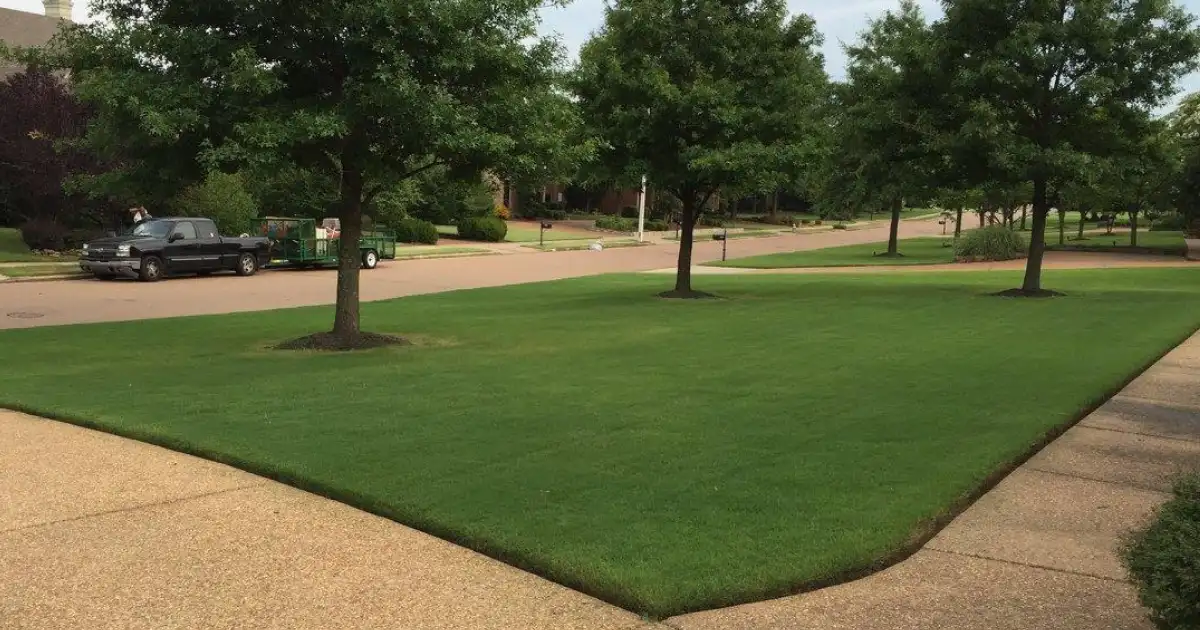 Fertilization & Weed Control Service