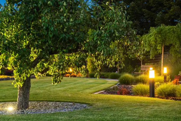 Professional lawn care service by Roper Lawn Care in Memphis