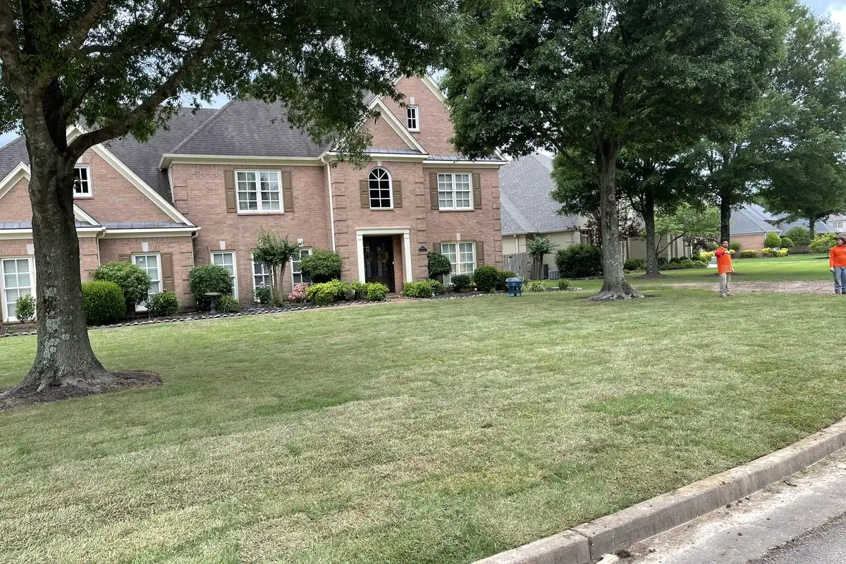 How Professional Sod Installation Works, Step by Step