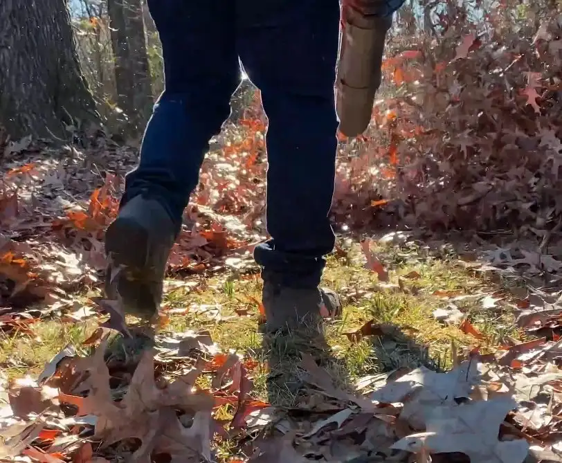 Leaf Removal Options and Timing: Keeping Your Memphis Lawn Clear This Fall