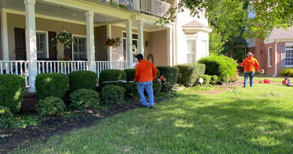 Bush Trimming Service In Memphis, TN