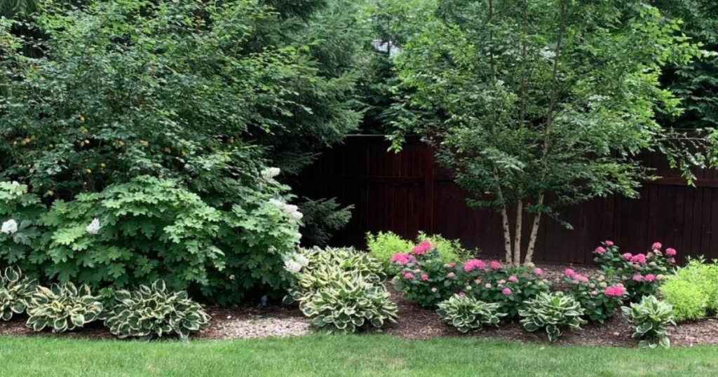 Flowerbed Maintenance | Roper Lawn & Landscape