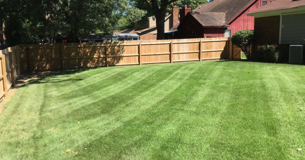 Lawn Care Service | Roper Lawn Care