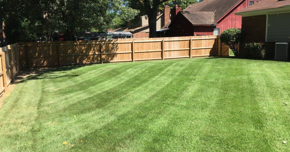 Freshly mowed, well-maintained lawn at a Memphis, TN home