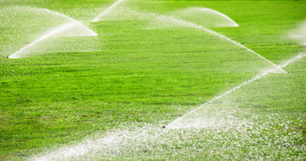 Sprinkler Startup Services | Roper Lawn & Landscape